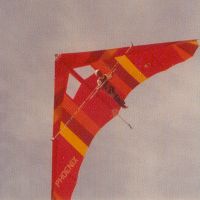 Phoenix6b