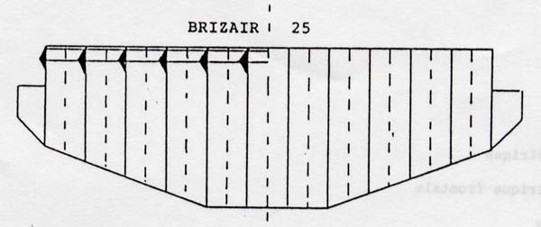 Brizair