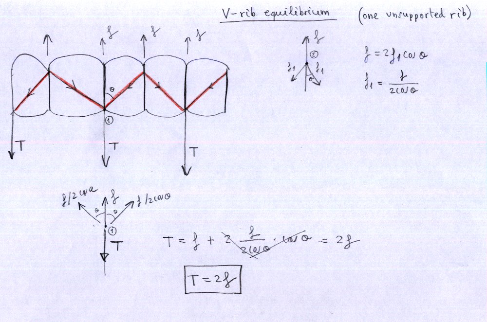 V-rib