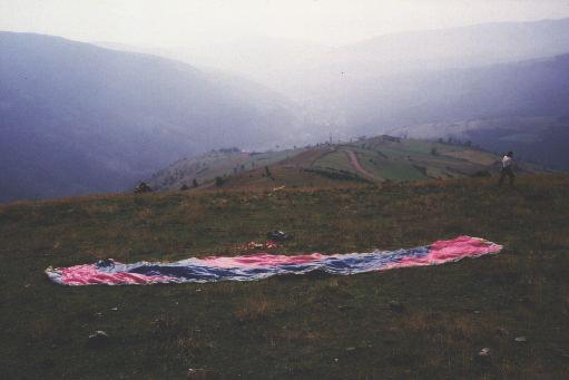 tregu1